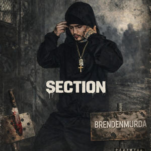 Section (Explicit)
