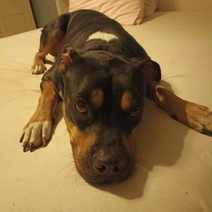 Υπόσχεση (Explicit)