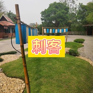 螃蟹舞 (阳光版)