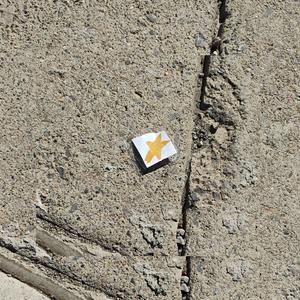 Introduction's Bookmark