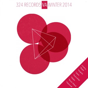 324 Records Va Winter 2014