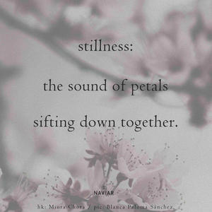 Stillness