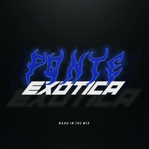 Ponte Exotica (Remix)