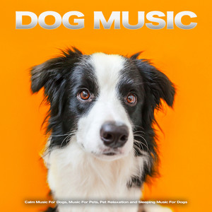 Dog Music: Calm Music For Dogs, Music For Pets, Pet Relaxation and Sleeping Music For Dogs