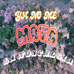 Ya no me mata la nostalgia