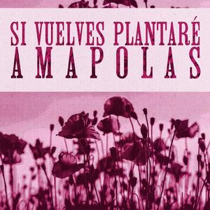 si vuelves plantaré amapolas