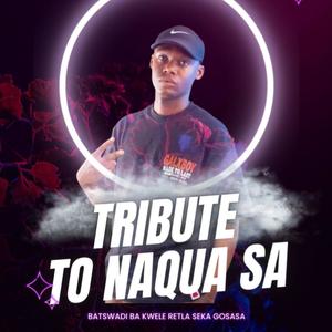 Ambulance Remake (Tribute Naqua SA)