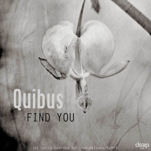 Find You (RuMii Remix)