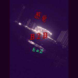 感觉 B2B EaZ