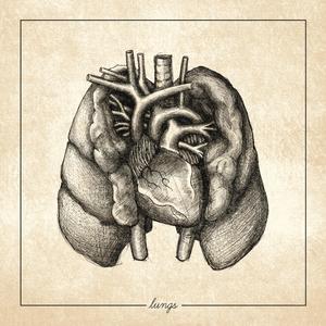 Lungs