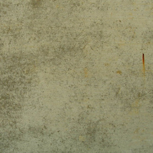 Canning (Stingrays Remix)