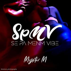 Se pa menm vibe (Explicit)