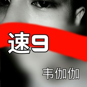 速度与激情 (特别版)