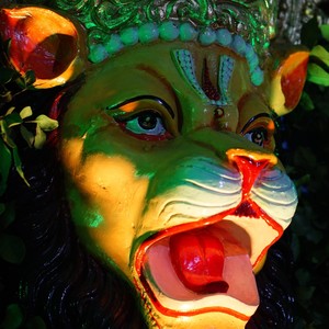 Lion God (Namaste Narasimha)