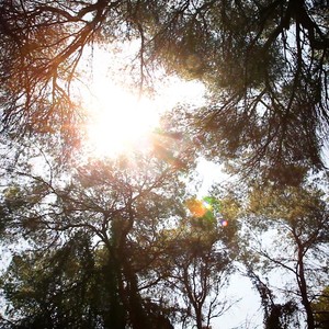 Close Your Eyes(feat. Patricie)