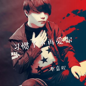 习惯了不再爱你