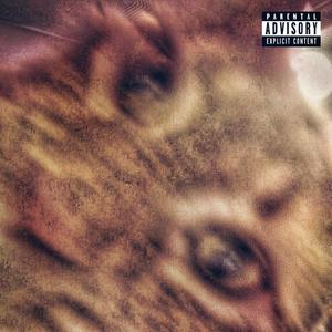 Check (Bonus) (Explicit)