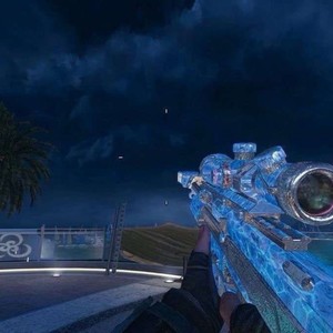 Take a bullet (for me)