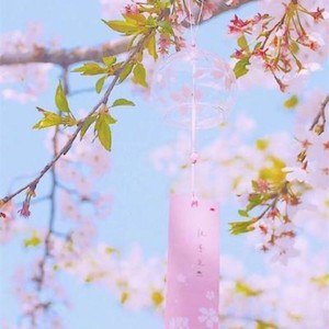 千里共婵娟