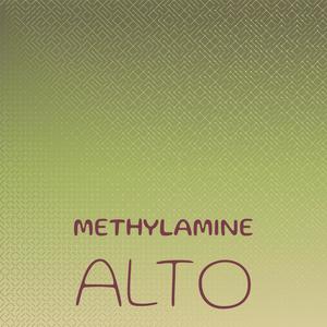 Methylamine Alto