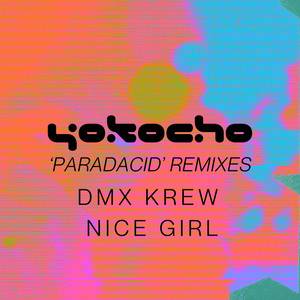 Paradacid Remixes