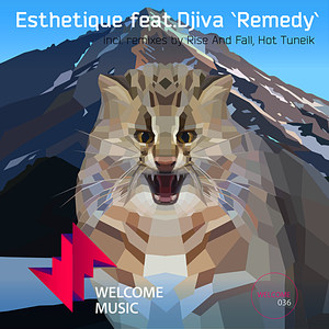 Remedy (Rise and Fall Remix)