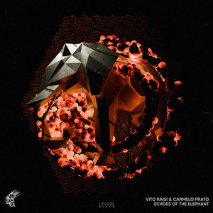 Echoes of the Elephant