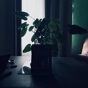 Dancing Trip (feat. Sebastián Quijano)