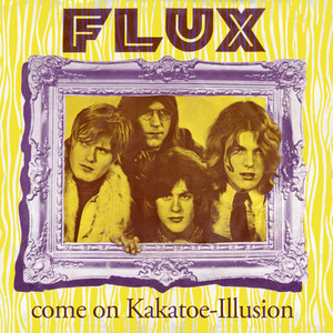 Illusion(Something in My Mind)