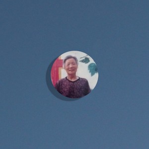 刘素珍 Demo