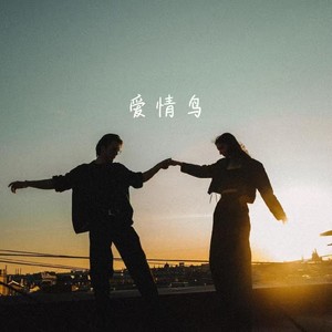爱情鸟