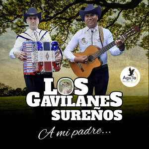 Megamix Bailable: Corazón Juguetón/Rueditas de Amor/Reyes de la Mar/ El Raspichín/ Leyendo el Diario / La Pelota de Lolita / a Mi Padre / Una Carta