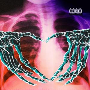 Vertebrae (Explicit)