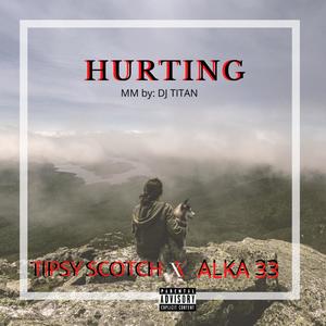 Hurting (feat. Alka33) [Explicit]