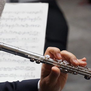 Duetto op.147 n°1 - II. Allegretto