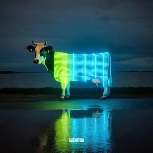 K N O W (Bot Ashley Remix)