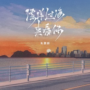 漂洋过海来看你