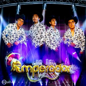 Y Que Les Vamos A Desir(feat. Trío Los Del Emperador)