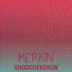 Merkin Rhododendron