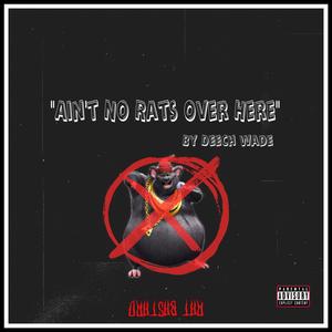 Ain't No Rats Over Here (Damn Shame Freestyle) [Explicit]