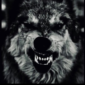 WOLFPRENEUR (feat. Tazz Money) (Explicit)