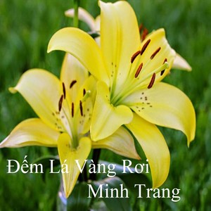 Đếm Lá Vàng Rơi 2