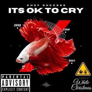 ITS OK TO CRY (Explicit)