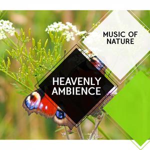 Heavenly Ambience - Music of Nature