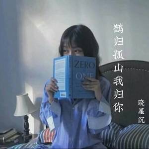 鹤归孤山我归你