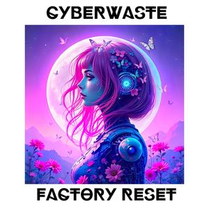 Factory Reset