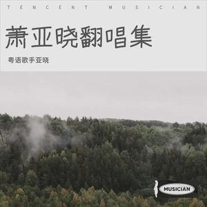 萧亚晓 - 心痛