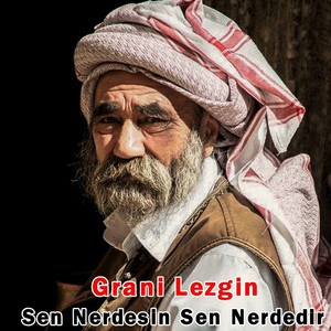 Sen Nerdesin Sen Nerdedir (Grani Remix)