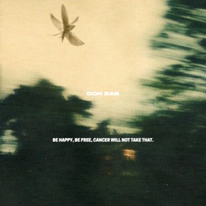 be happy, be free, cancer will not take that.