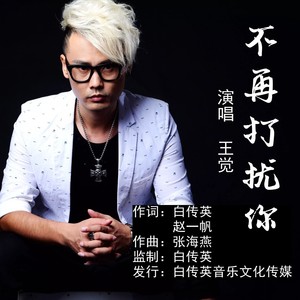 不再打扰你 (伴奏)